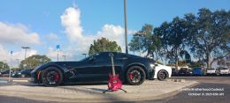 lp corvette vin e03n023 autonation airport orlando  